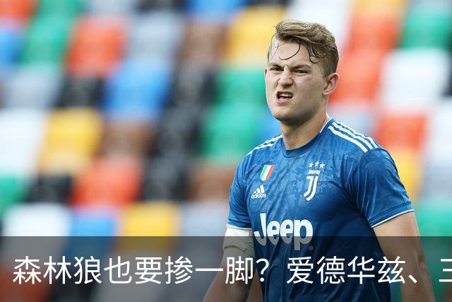 森林狼也要掺一脚？爱德华兹、三球联手招募，詹姆斯去向即将揭晓